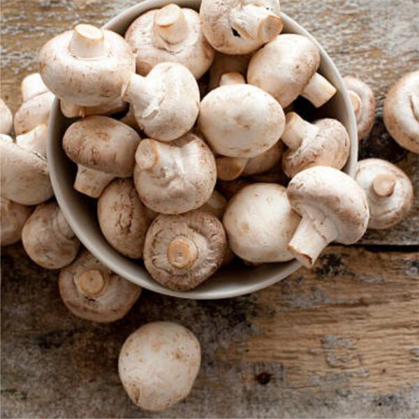 mushroom