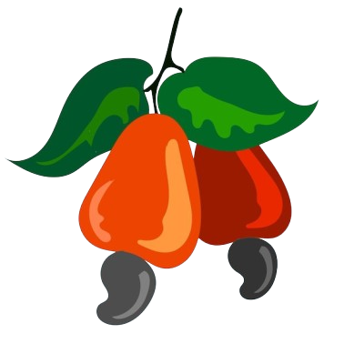 cashew fruit